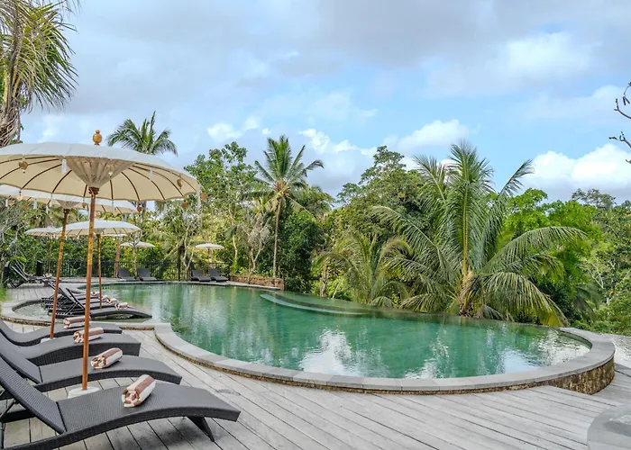 Hoshi Jungle By Dhananjaya Hospitality 4*