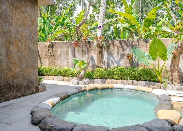Hoshi Jungle By Dhananjaya Hospitality ホテル 4*